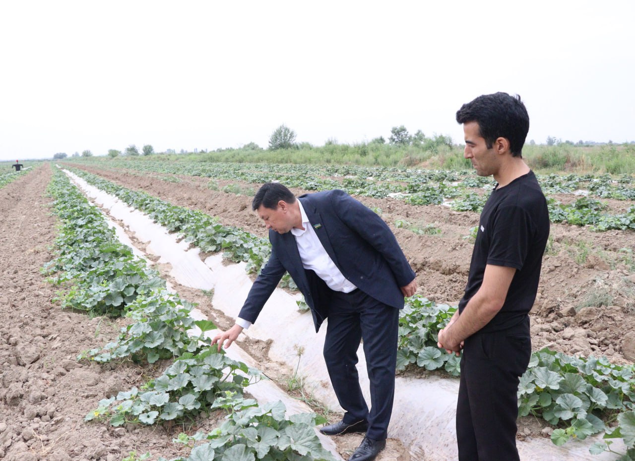 Men porno tomosha qilishni xohlayman